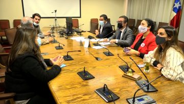 APOYOS REVISIÓN ACUSACIÓN CONSTITUCIONAL PIÑERA