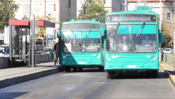 310322-10 APOYOS TRANSPORTE PUBLICO 6