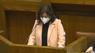 010822-C04 APOYO INTERPELACIÓN A MINISTRA BEGOÑA YARZA 06