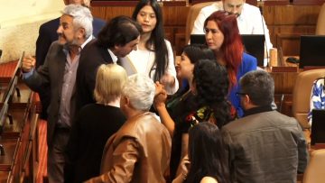 071122-C10 APOYO ELECCIÓN PRESIDENTE DE LA C´MARA DE DIPUTADOS 17