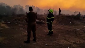 020223-11 APOYO INCENDIOS FORESTALES CHILLÁN13
