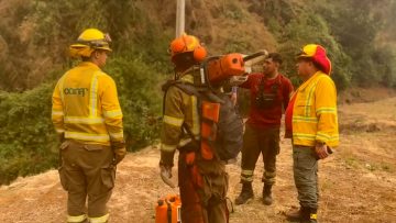 09022308 TRABAJO BRIGADISTAS MEXICANOS EN RUTA DE LA MADERA13