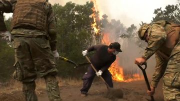 09022310 APOYO INCENDIO74 (2)
