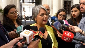 13032308 DECLARACIONES MINISTRA JEANNETTE JARA 06