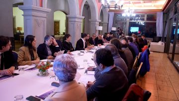 140623V02 APOYO COMITE POLITICO AMPLIADO EN CERRO CASTILLO 13