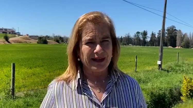 30092317 DIPUTADA FLOR WEISSE SE REFIERE AL VETO QUE INGRESÓ EL GOBIERNO A LA LEY DE USURPACIONES 02