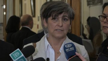 131123C03 DECLARACIONES DE LA MINISTRA DE SALUD EN EL SENADO 01