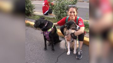 26112306 CORRIDA FAMILIAR INCLUSIVA VIVE LA NUEVA ALAMEDA 03