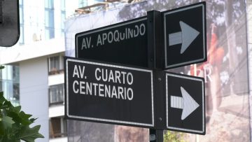 09022418 APOYOS AVENIDA IV CENTENARIO 1