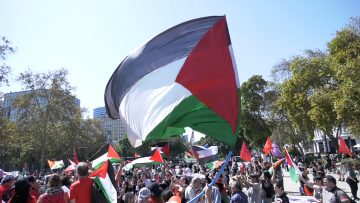 23032406 MARCHA POR PALESTINA 23 MARZO 01