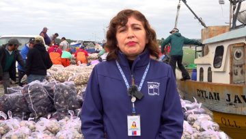 26032411 DECOMISO DE MARISCOS CON MAREA ROJA EN CALBUCO