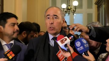 270524C02 DECLARACIONES DE RICARDO MEWES 05 (2)