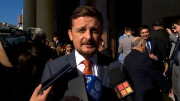 010624CP30 DECLARACIONES DIPUTADO STEPHAN SCHUBERT 04