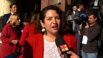 010624CP35 DECLARACIONES MINISTRA JAVIERA TORO 04