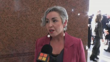 010624CP48 DECLARACIONES DIPUTADA ALEJANDRA PLACENCIA 04