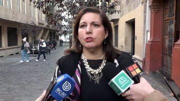 07062404 DECLARACIONES PAULINA VODANOVIC 06