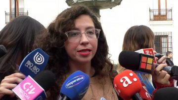 07062415 DECLARACIONES DIPUTADA GAEL YEOMANS 05 (4)