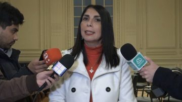 10062406 DECLARACIONES KARLA RUBILAR 06