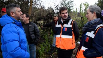 13062416 APOYOS ANGOL RENAICO 1