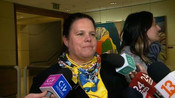 180624C18 DECLARACIONES MINISTRA MAYA FERNÁNDEZ EN EL CONGRESO 2