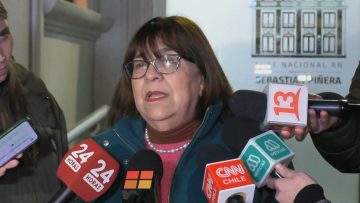 28062419 DECLARACIONES ROSA OYARCE 08