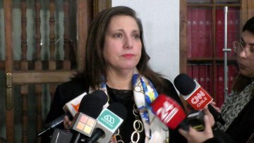 01082413 DECLARACIONES PAULINA VODANOVIC 1