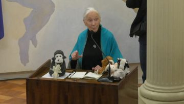 09082415 U. DE CHILE ENTREGA DISTINCION DOCTOR HONORIS CAUSA A JANE GOODALL 08