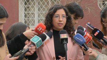 18082406 DECLARACIONES GAEL YEOMANS, DIPUTADA FA 01