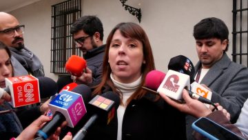 19082412 DECLARACIONES CONSTANZA MARTÍNEZ 01 (1)