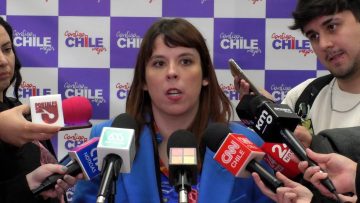 29082409 DECLARACIONES DE CONSTANZA MARTÍNEZ 01 (1)