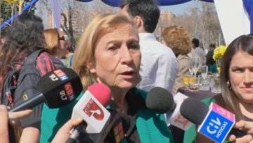 31082412 DECLARACIONES DE LA DIPUTADA HELIA MOLINA (PPD) 02