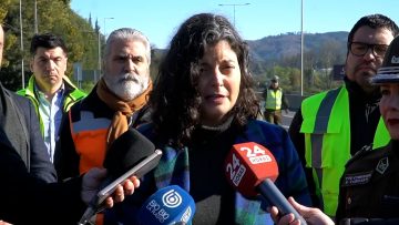 12092408 DECLARACIONES DE DELEGADA DANIELA DRESDNER 01