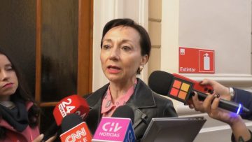 25092401 DECLARACIONES ANA GLORIA CHEVESICH 06