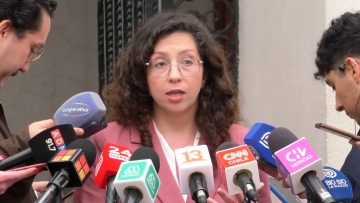 30092405 DECLARACIONES DIPUTADA GAEL YEOMANS 02