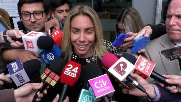 01102411 DECLARACIONES DE LA ABOGADA SUSANA BORZUTZKY 03