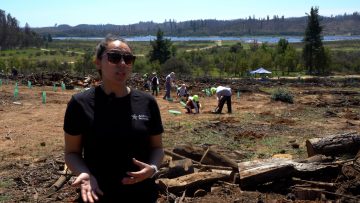 05102409 VOLUNTARIOS PARTICIPAN DE REFORESTACIÓN EN LAGO PEÑUELAS 01