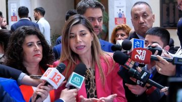 09104C16 DECLARACIONES DIPUTADA DANIELLA CICARDINI 01