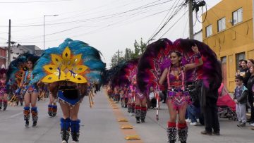 12102411 APOYO CARNAVAL SAN ANTONIO DE PADUA EN SANTIAGO 10