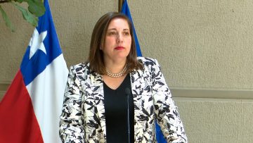 211024 DECLARACIONES SENADORA PAULINA VODANOVIC 02