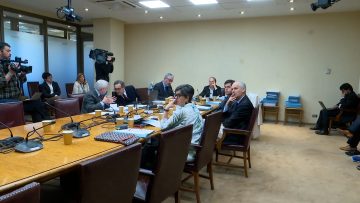 211024C04 APOYOS COMISIÓN DEL SENADO POR AC DE ÁNGELA VIVANCO 01