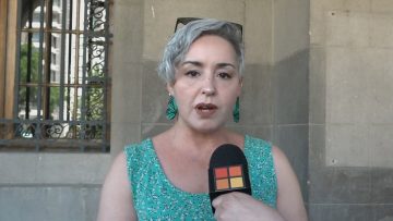 27102417 DECLARACIONES ALEJANDRA PLACENCIA 03