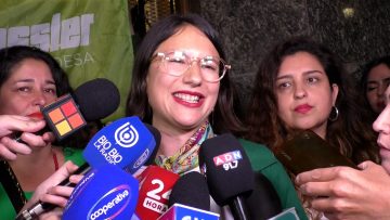 27102449 DECLARACIONES IRACÍ HASSLER 03