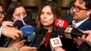 29102406 DECLARACIONES FISCAL CONSTANZA ENCINA 01