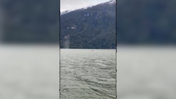 02112405 APOYO BALLENAS EN BALSAS-JAULA TRAS DENUNCIA DE MINISTERIO DEL MEDIO AMBIENTE 02