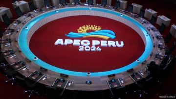 151124PER02 APOYOS APEC LIMA 2024 01 (1)