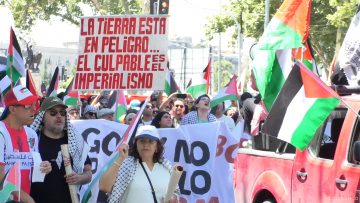 30112408 APOYO POR EL DÍA INTERNACIONAL DE SOLIDARIDAD CON PALESTINA 01