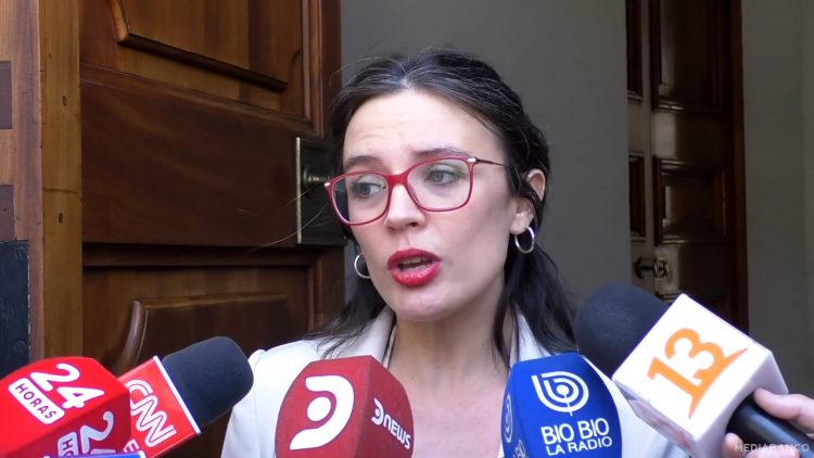 04122405 DECLARACIONES CAMILA VALLEJOS 02