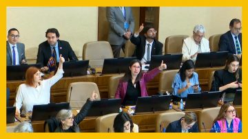 041224C08 APOYO SESIÓN CAMARA DE DIPUTADOS 17