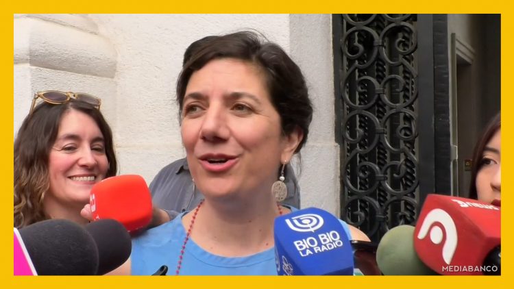 20122409 DECLARACIONES AISÉN ETCHEVERRY DESTACADO
