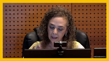 24122409 APOYO REVISIÓN CAUTELARES CASO HERMOSILLA AM